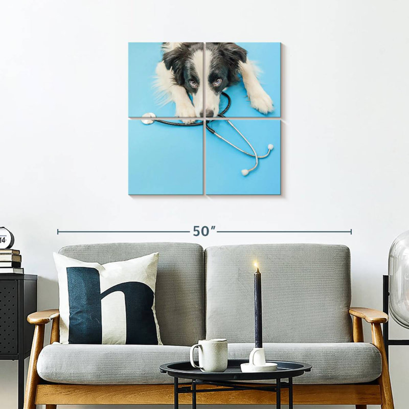 Brampt Dog Doctor, H 26 po x l 26 po