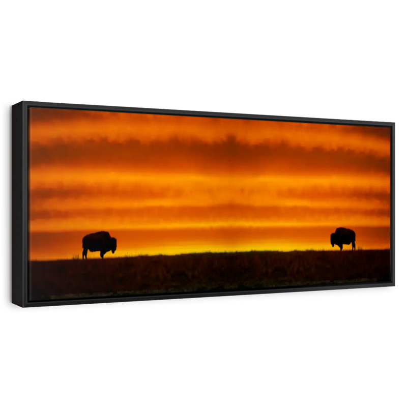 Lever de soleil sur les bisons, 43 po x 15 po, Cadre flottant noir
