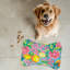 Tapis Island Fruit - forme d'os