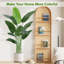 Rontez Faux Plant-1077544765