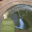 Mikasa Jardin Stoneware Dinner Plates, 27cm, Green