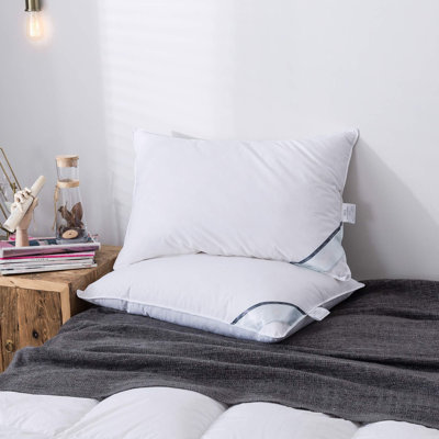 Emeliah L74 x W48cm Support Pillow