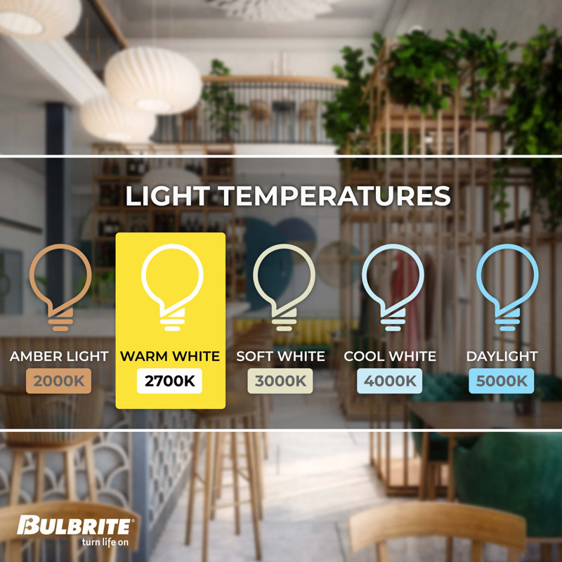 60 watts, bol argenté, ampoule incandescente A19 à intensité variable, blanc chaud