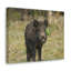 No Frame Print on Canvas-1062892821