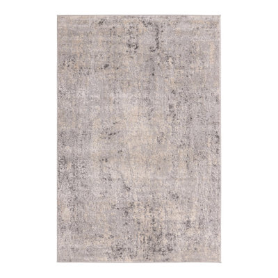 Indoor Rug