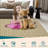 Washable Area Rug Baby Room Contemporary Boho Non-Slip Low Pile Stain-Resistant No-Shedding Easy-Clean Modern Dorm Home Office-365188706
