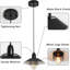 Luminaire suspendu en métal noir rétro Farmhouse