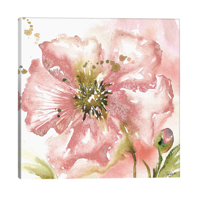 Blush Watercolour Poppy II 1 Piece Wrapped Canvas Painting