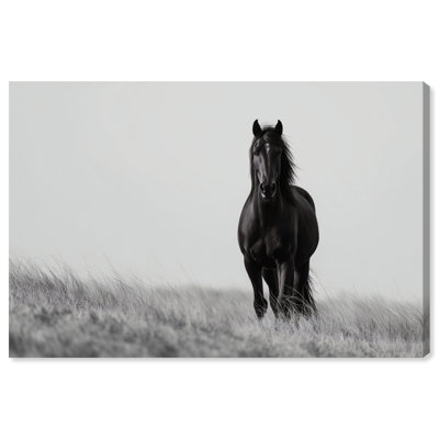 Lone Stallion I Print by Oliver Gal