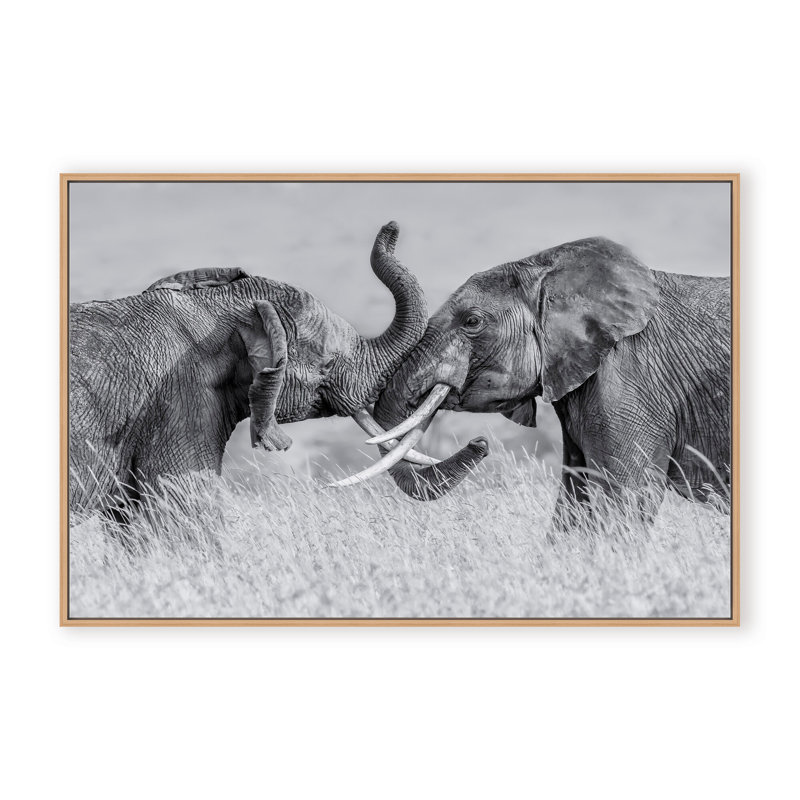 Nature Inspired Elephant Tai Chi by  - Picture Frame Photograph on Paper, 32" H x 48" W x 1.125" D, Black