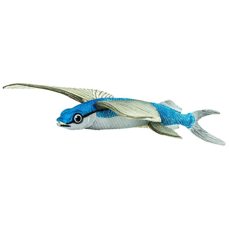 Poisson volant