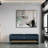 Premium class durable shoe bench-102025601-102025605-102025607