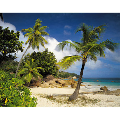 Velasco Scenics 2.54m x 3.68m Wall Mural