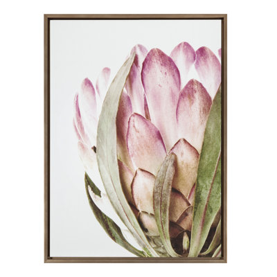 «Pink Protea Flower» par Amy Peterson, reproduction d'art sur toile encadrée