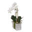 Real Touch Silk Phalaenopsis Orchids And Leaves With String Of Pearls In Wash Stone Pot