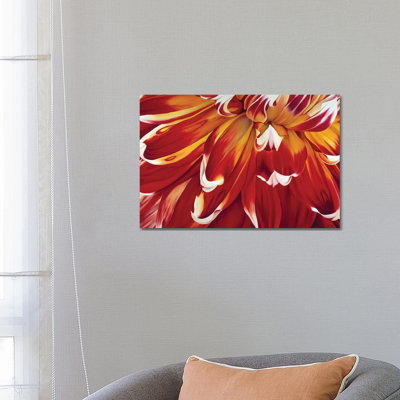 Redony 1 Piece Wrapped Canvas Painting