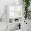 Bathroom Wall Cabinet With Doule Mirror Doors And Shelvs