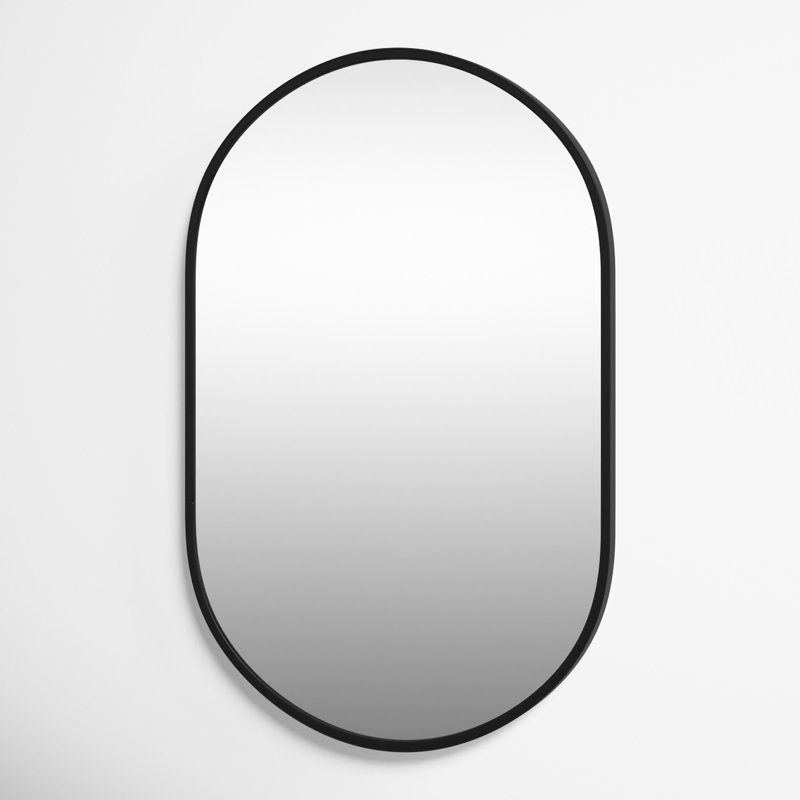 Sabine Metal Pill Wall Mirror & Reviews | Joss & Main