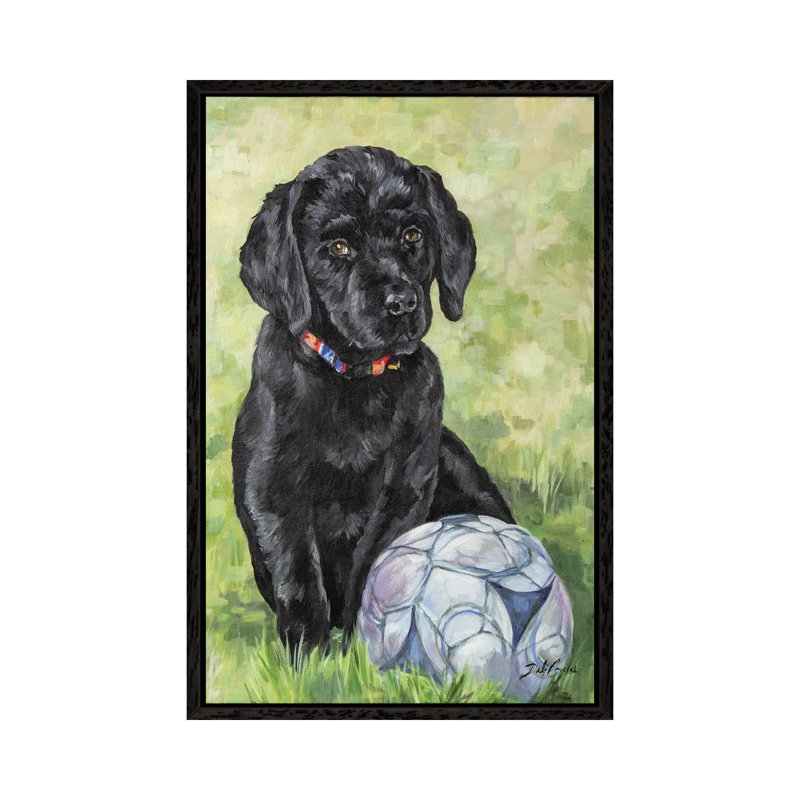 Soccer Lab by Debi Coules - Gallery-Wrapped Canvas Giclée on Canvas, 66.04 cm H x 45.72 cm W, Black Floater Frame