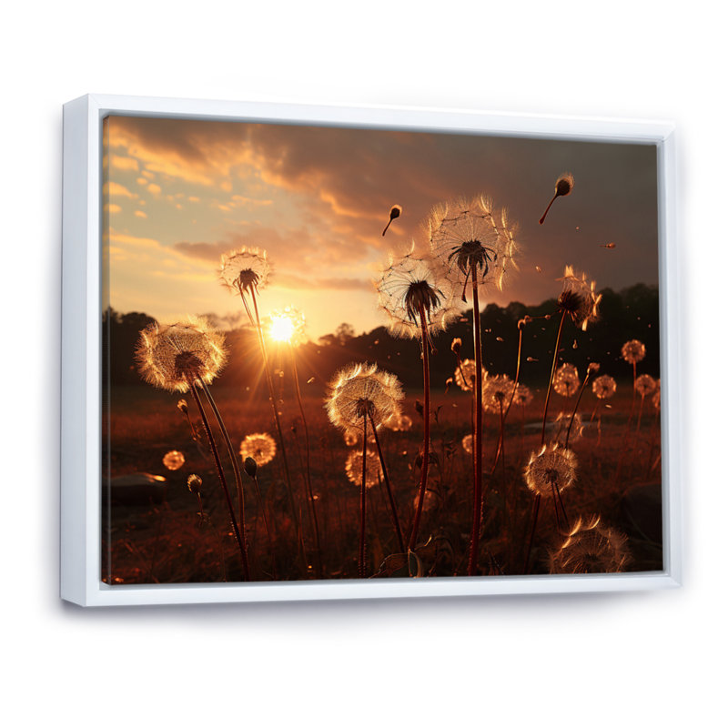Coucher de soleil sur un champ de pissenlits I - impressions murales florales, H 34 po x l 44 po x P 1,5 po