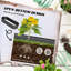 Planter Box-1919201235