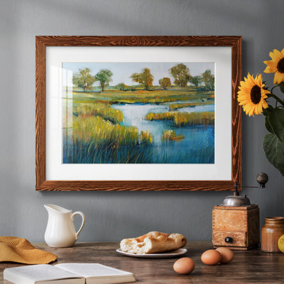 Vue de marais IV