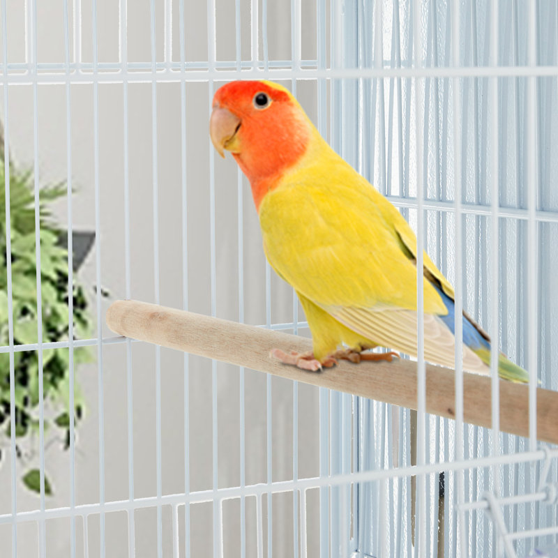 170.2cm Steel Floor Bird Cage