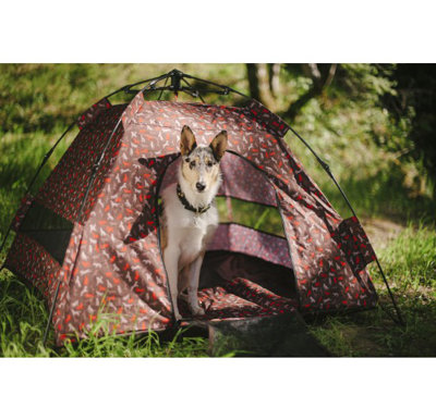 Tente d'extérieur pour chien Scout & About