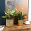 Metal Pot Planter-1642570877