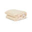 Organic Waterproof Mattress Protector Pad-1918642941