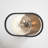 Brielle Steel Flush Mounted Sconce