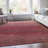 Machine Washable Indoor/Outdoor Xhevrie Red Rug-1709748690