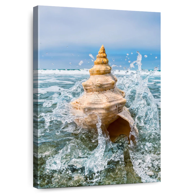 Aletra Ocean Conch Shell, 12" H x 8" W