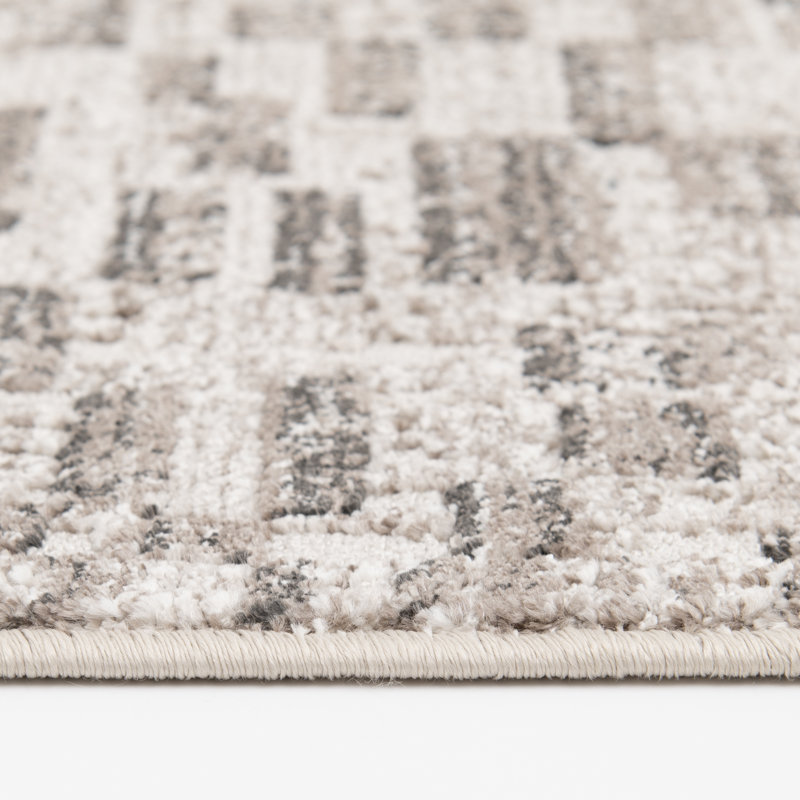 Bungalow Rose Magaw Brown/Beige Abstract Checker Indoor Polypropylene/Polyester Area Rug, Rectangle 7'10" x 9'10"