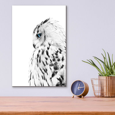 Epic Art 'White Owl' By Design Fabrikken, Acrylic " White Owl " by Design Fabrikken