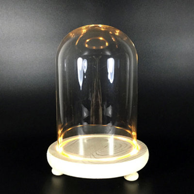 Petersburg Cloche Or Water Globe