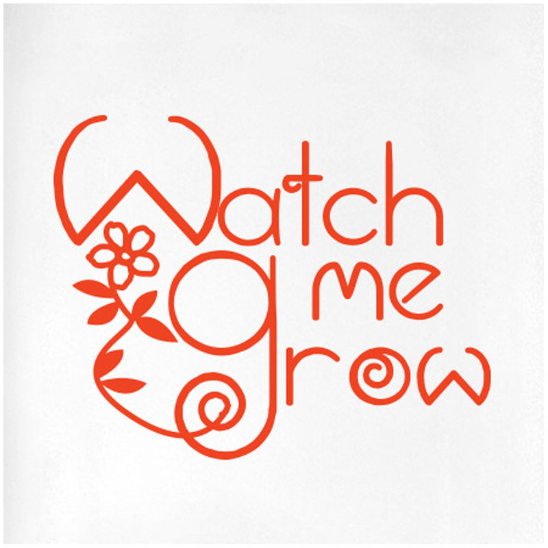 Wall Decal, Orange