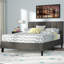Cardington Upholstered Bed Frame with Square Tufted Headboard-1102040409