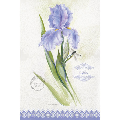 Flower Study On Lace VII by Elissa Della-Piana - Wrapped Canvas Print
