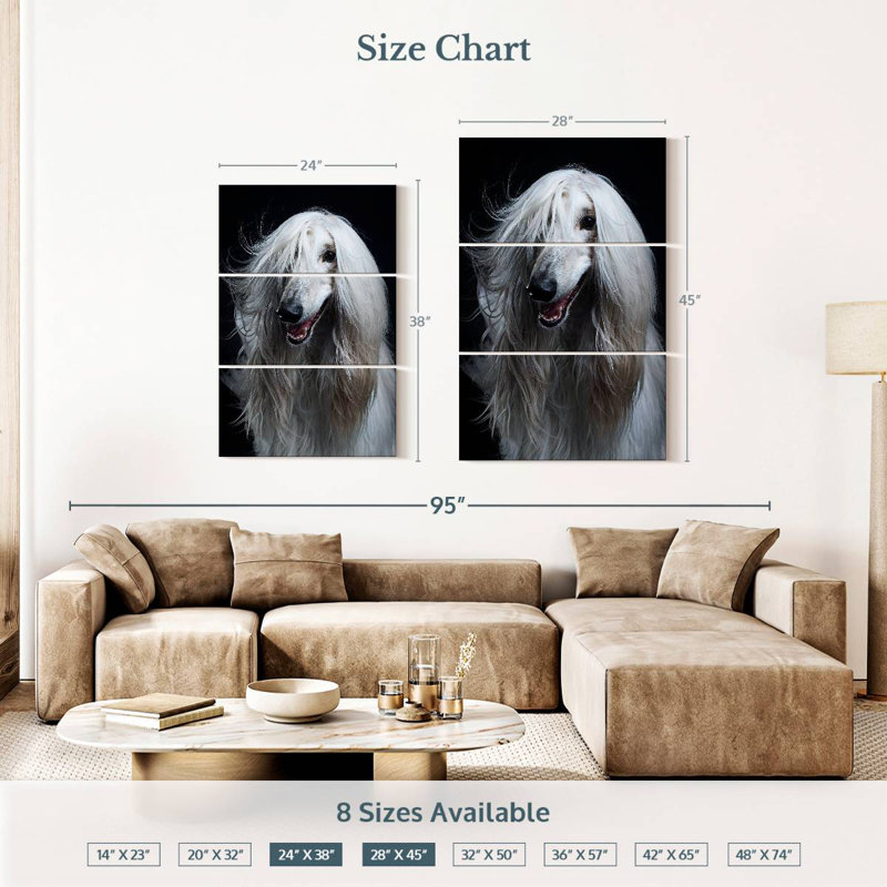 Brampt Long Haired Afghan Hound, 38" H x 24" W