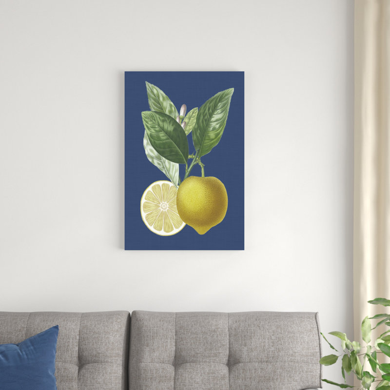 Citron français sur marine II, H 30 po x l 20 po x P 1,25 po