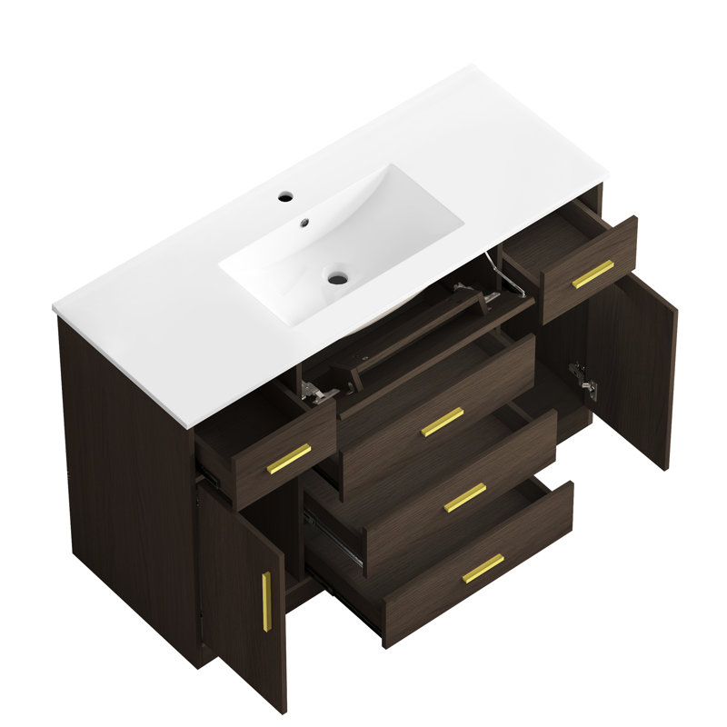Meuble-lavabo brun foncé de 48 po avec armoire de rangement à 2 portes à fermeture douce et 6 tiroirs, fait pour la durabilité, la fonctionnalité silencieuse, le look élégant, le maquillage et la fabrication