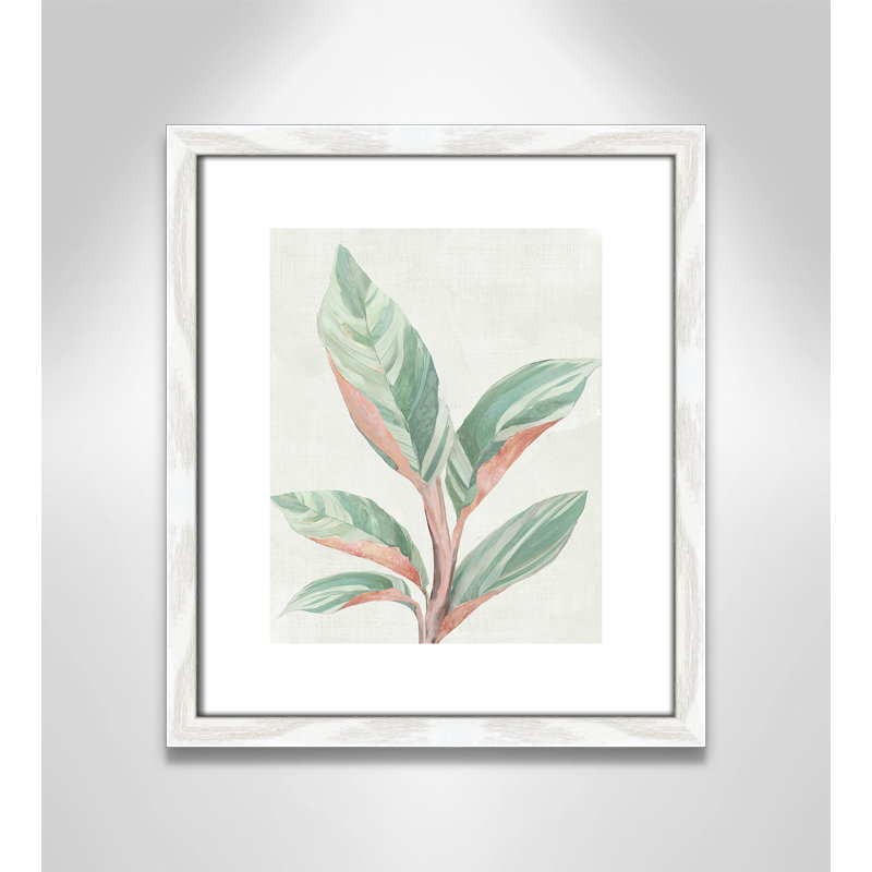Gingembre II - reproduction d'art, H 15 po x l 13 po x P 0,75 po, Papier avec cadre en bois blanc