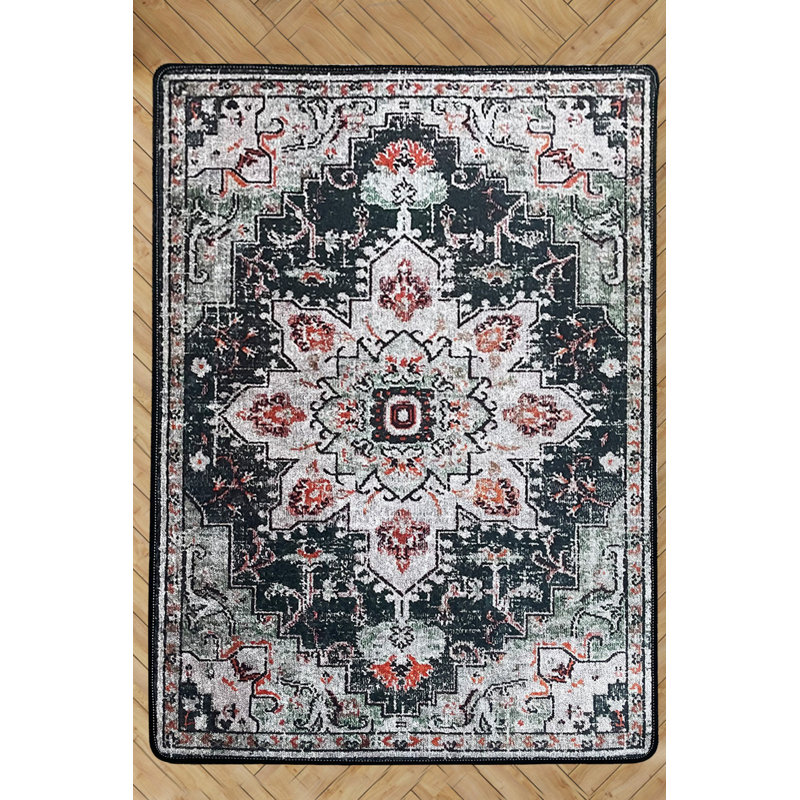 Premium Washable Area Rug, 100% Polyester, 4.0 x 6.0 Feet | 10 mm Pile Height, Non-Slip Dot Underside, Antibacterial | Machine Washable, Perfect for Living Room & Bedroom | Durable, Soft, and Easy to Maintain