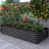 Gris foncé sélectionné