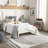 Corum Indoor Rug-1646918447