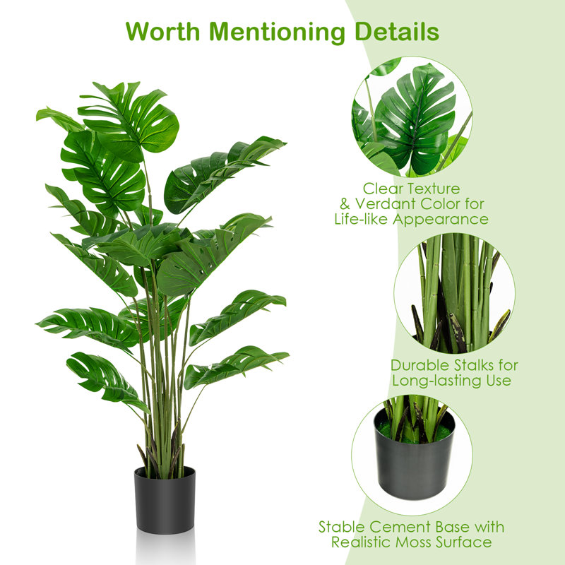 60 plantes