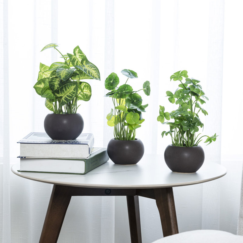 3 - Piece Indoor Artificial Foliage Plant in Brown Pot Set
