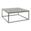 Paris Solid Coffee Table-28638696-28638697
