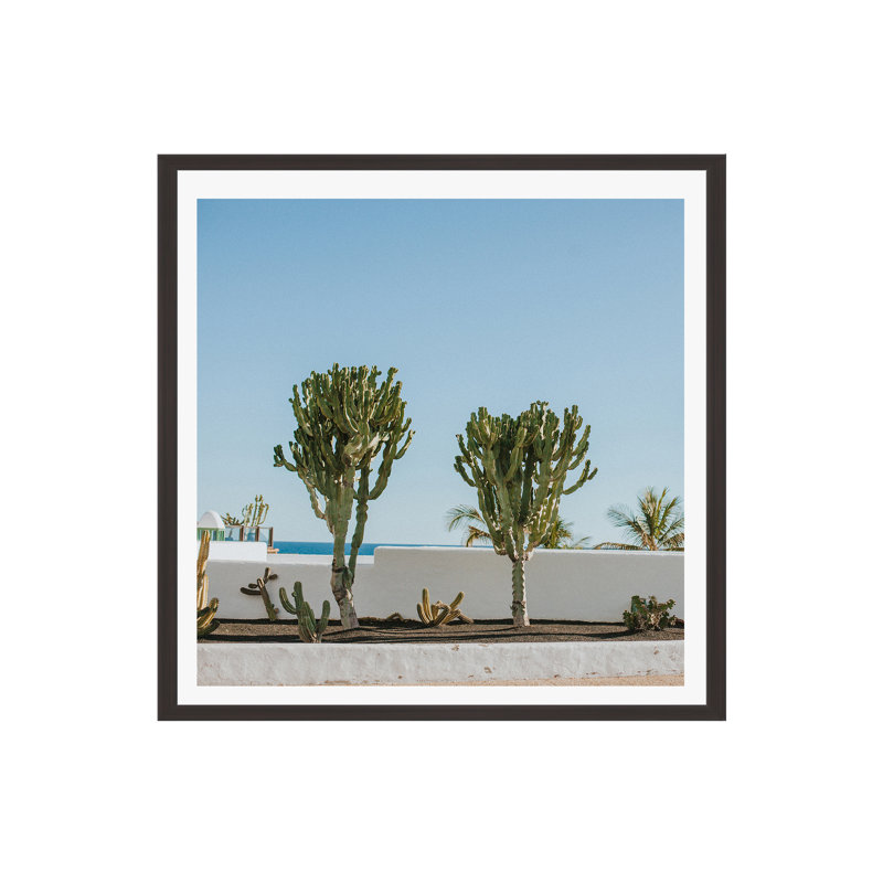Hello Twiggs Three Cactus by Claudia Casal, 12" H x 12" W  , No, Wrapped Canvas